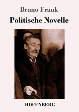 Politische Novelle