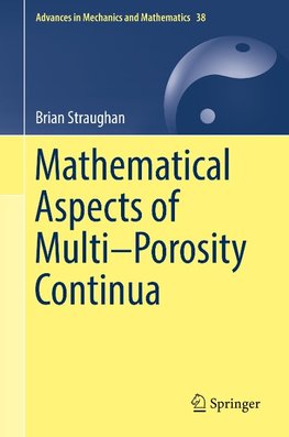 Mathematical Aspects of Multi-Porosity Continua