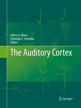 The Auditory Cortex