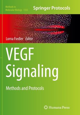 VEGF Signaling