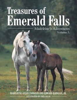 Treasures of Emerald Falls