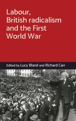 Labour, British radicalism and the First World War