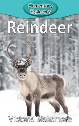 Reindeer