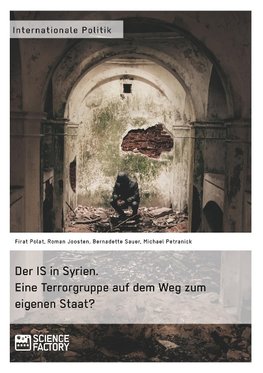 Der IS in Syrien. Eine Terrorgruppe auf dem Weg zum eigenen Staat?