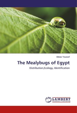 The Mealybugs of Egypt