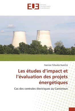 Les études d'impact et l'évaluation des projets énergétiques