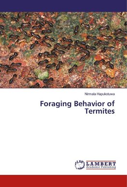 Foraging Behavior of Termites