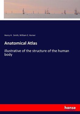 Anatomical Atlas