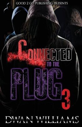 Connected to the Plug 3