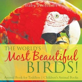 The World's Most Beautiful Birds! Animal Book for Toddlers | Children's Animal Books