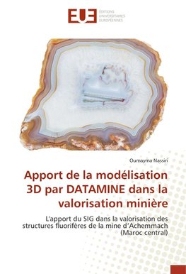 Apport de la modélisation 3D par DATAMINE dans la valorisation minière