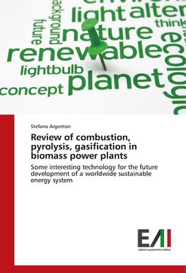 Review of combustion, pyrolysis, gasification in biomass power plants