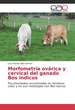 Morfometría ovárica y cervical del ganado Bos indicus