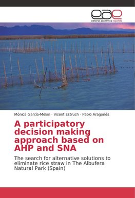 A participatory decision making approach based on AHP and SNA