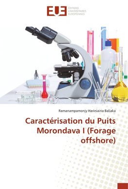 Caractérisation du Puits Morondava I (Forage offshore)