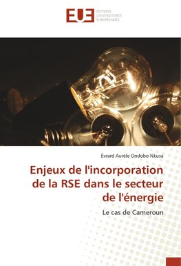 Enjeux de l'incorporation de la RSE dans le secteur de l'énergie