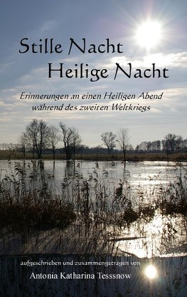 Stille Nacht, Heilige Nacht