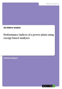 Performance indices of a power plant using exergy-based analyses