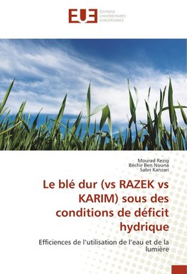 Le blé dur (vs RAZEK vs KARIM) sous des conditions de déficit hydrique