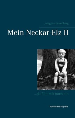 Mein Neckar-Elz II