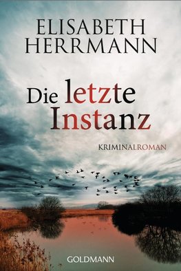 Die letzte Instanz