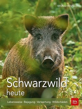 Schwarzwild heute