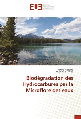 Biodégradation des Hydrocarbures par la Microflore des eaux