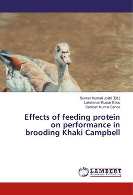 Effects of feeding protein on performance in brooding Khaki Campbell