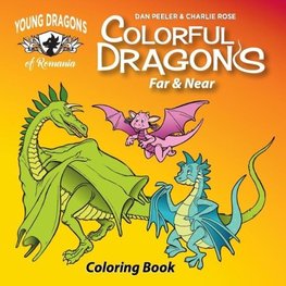 Colorful Dragons Far And Near