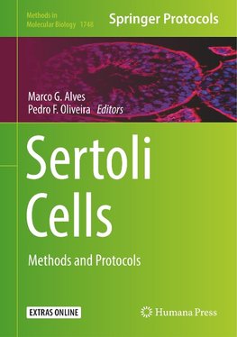 Sertoli Cells