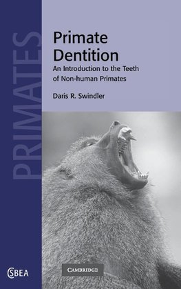 Primate Dentition