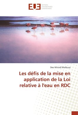 Les défis de la mise en application de la Loi relative à l'eau en RDC