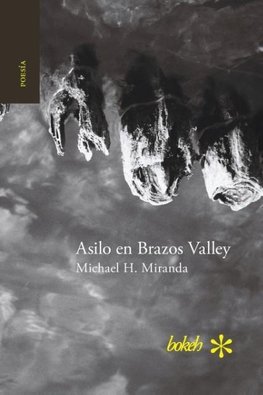 Asilo en Brazos Valley