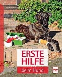 Erste Hilfe beim Hund