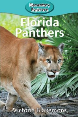 Florida Panthers