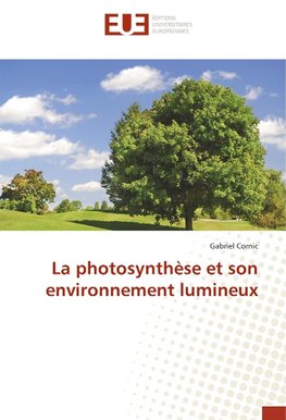 La photosynthèse et son environnement lumineux