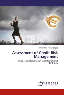 Assessment of Credit Risk Management