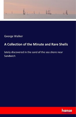 A Collection of the Minute and Rare Shells