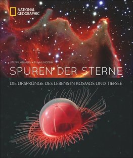 Spuren der Sterne