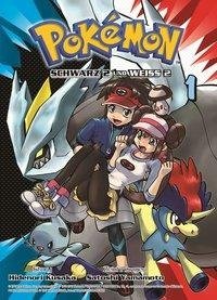 Pokémon Schwarz 2 und Weiss 2