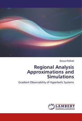 Regional Analysis Approximations and Simulations