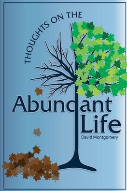 Thoughts on the Abundant Life