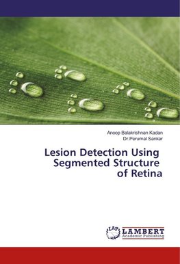 Lesion Detection Using Segmented Structure of Retina