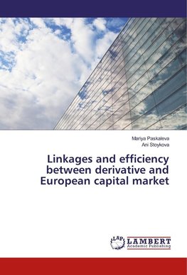 Linkages and efficiency between derivative and European capital market