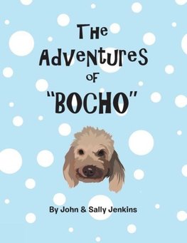 The Adventures of Bocho