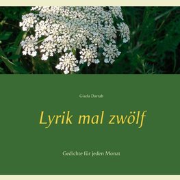 Lyrik mal zwölf