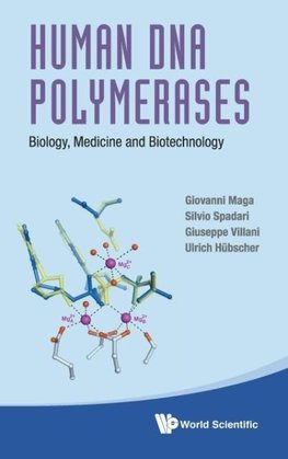 Human DNA Polymerases