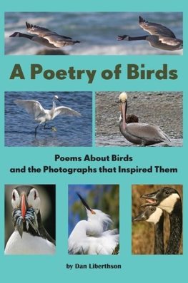 A Poetry of Birds