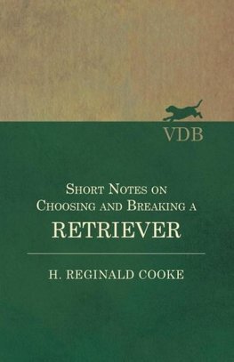 Short Notes on Choosing and Breaking a Retriever