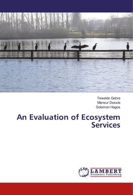 An Evaluation of Ecosystem Services